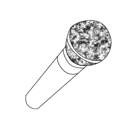 microphone icon